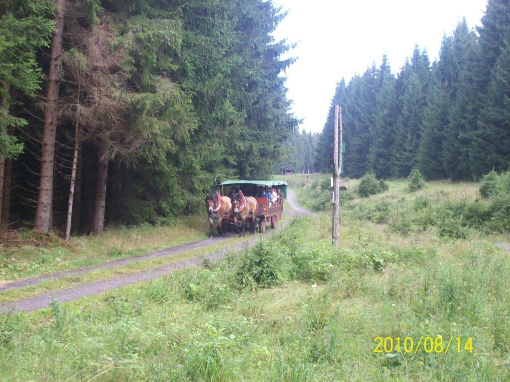 Hotel Burghof Schwarzatal Quarto foto